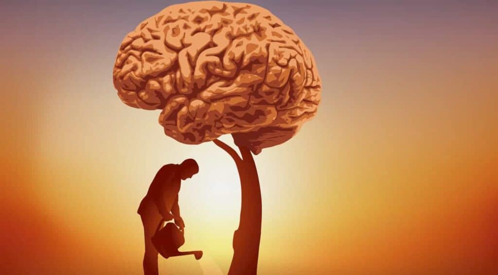 Ilustración de una persona cultivando un árbol con forma de cerebro al atardecer