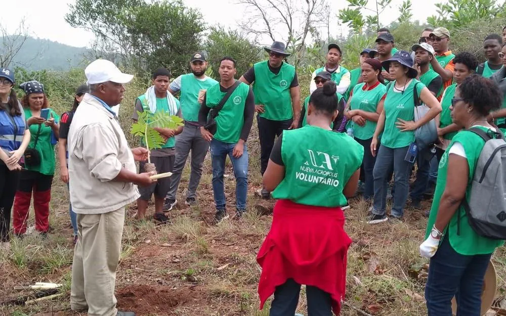Voluntarios de Nueva Acrópolis en una jornada de reforestación al aire libre